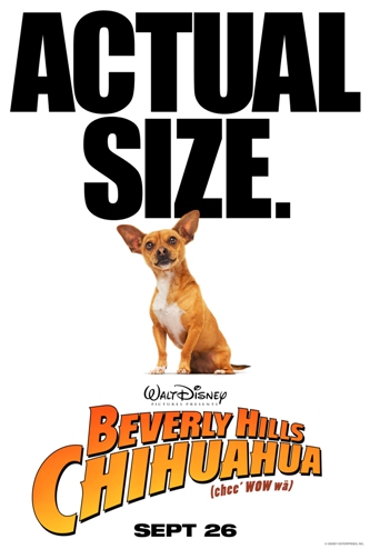 Chihuahua Poster 2